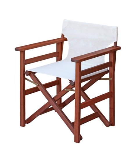 Director's Chair